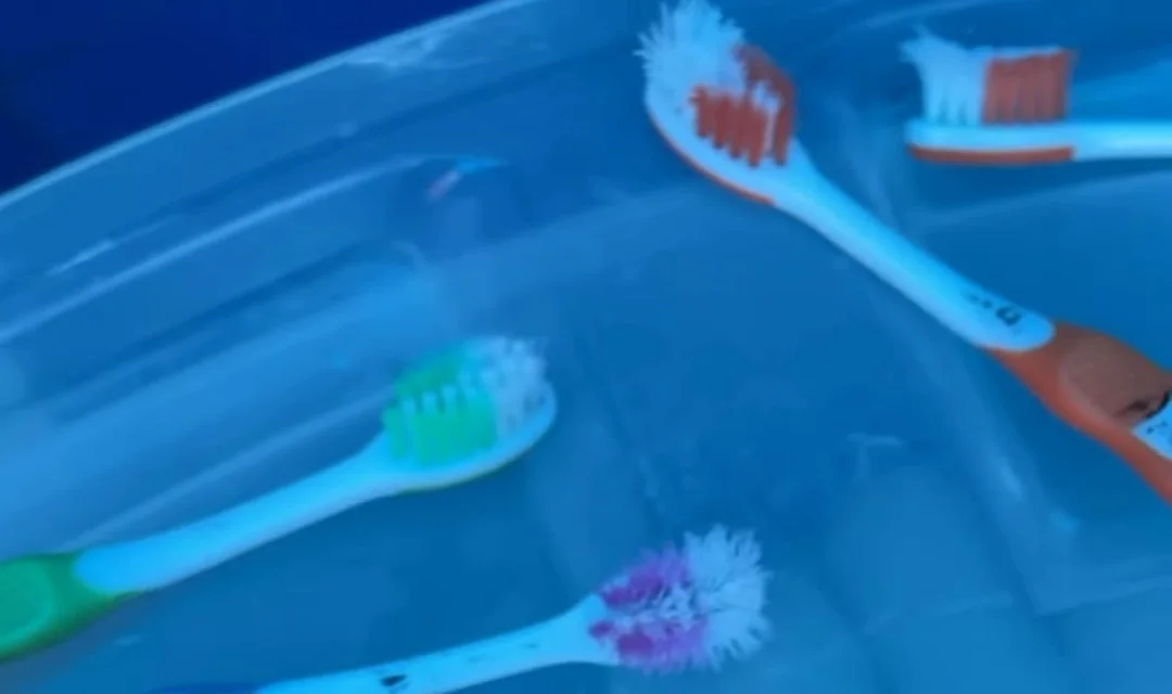 Escovas de dente infantis coloridas dentro de uma caixa plástica